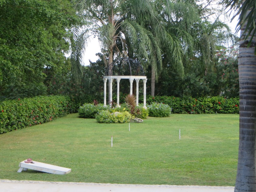 For Wedding Celebration