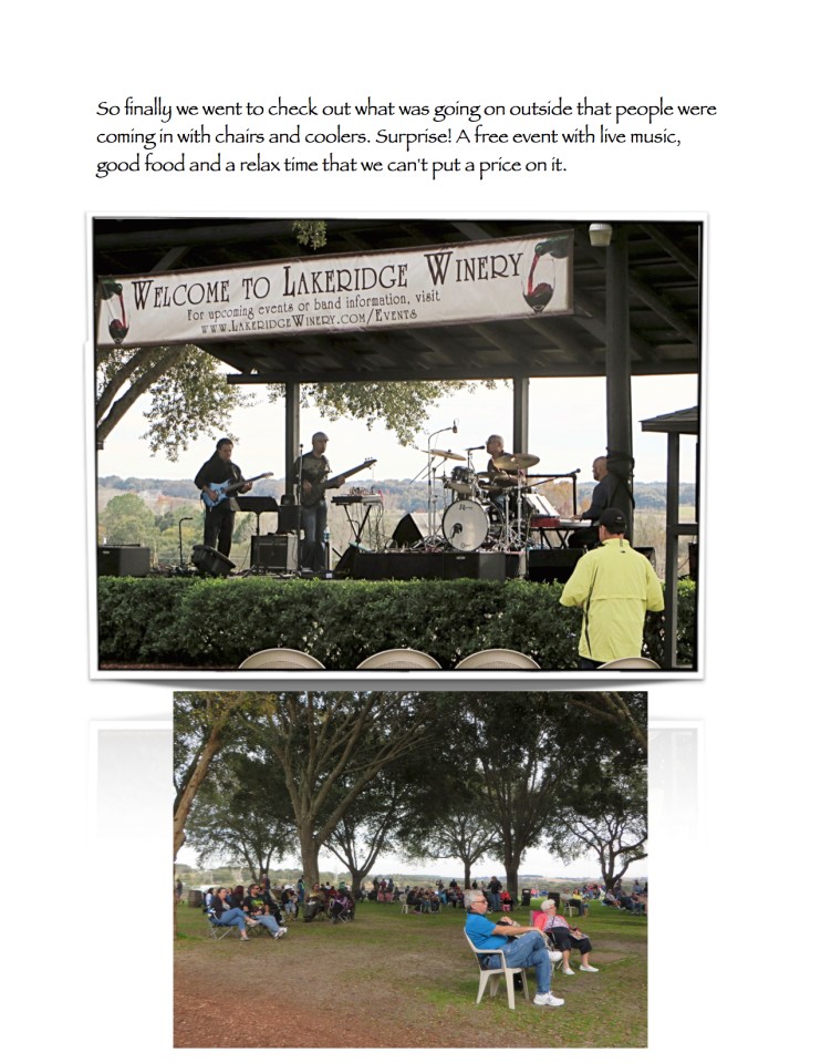 My Sparkling Wine11.jpg