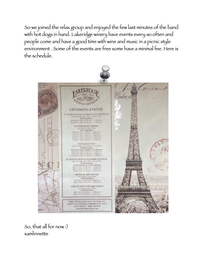 My Sparkling Wine13.jpg