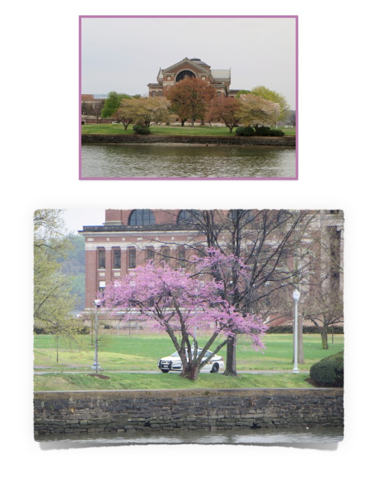 Getaway Weekend in Washington DC4